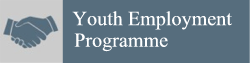 Youth Employment